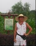 Cheng Cunwang