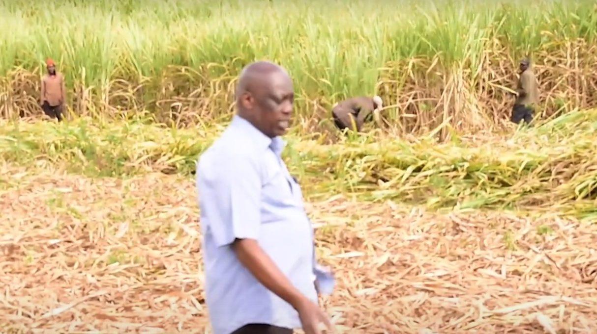 David Kosgei