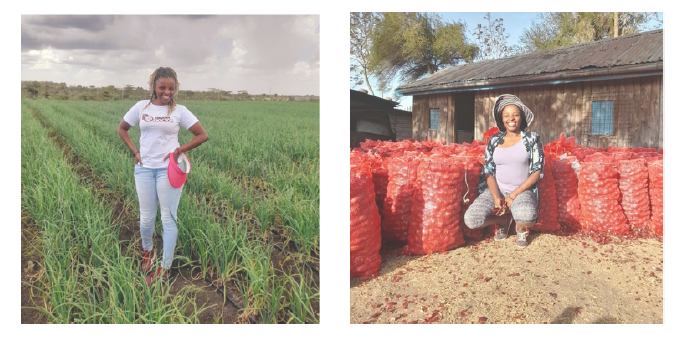 Farmers collaborating through the GFN Agripreneur Accelerator program