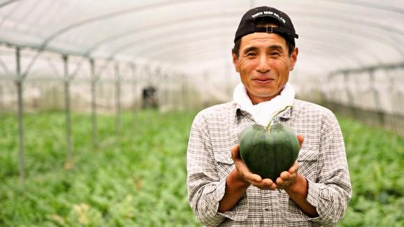 Oxfam’s Approach To Food Security Is Broken