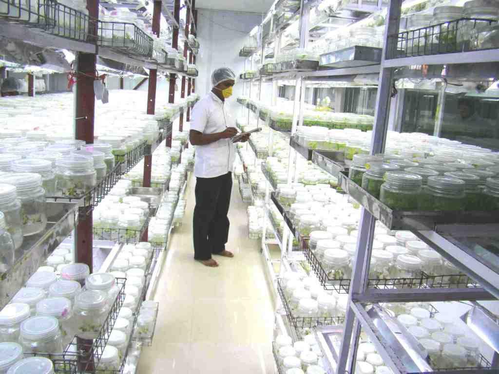 India Acts to Join the Biotech Club