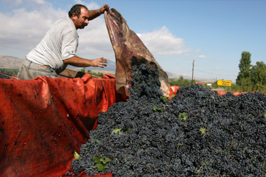 Export Restrictions Receive More Attention at the WTO