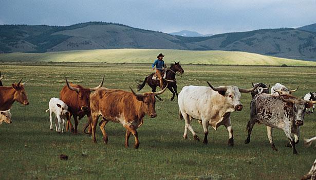 Cooperating To Feed America and the World