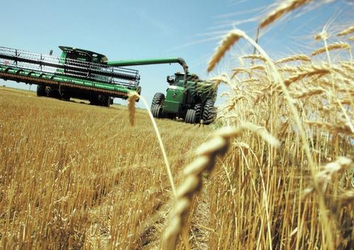 U.S. Agricultural Trade to Increase in Value and Volume