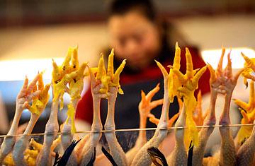 Chinese Tariffs on U.S. Chicken Meat and Feet