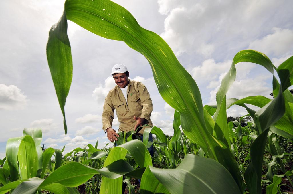 Agricultural Markets in Colombia, Panama and S. Korea