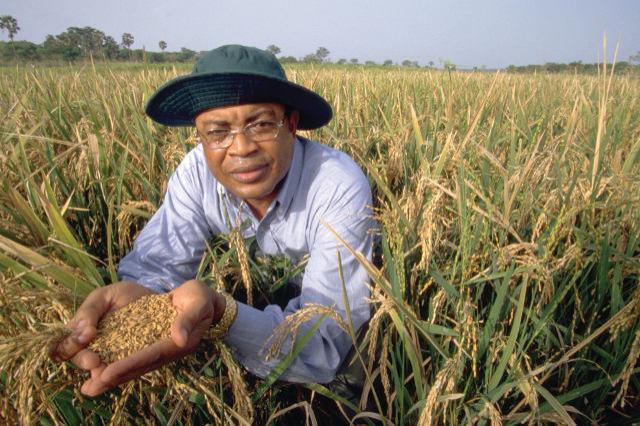 South African Agriculture on the World's Stage