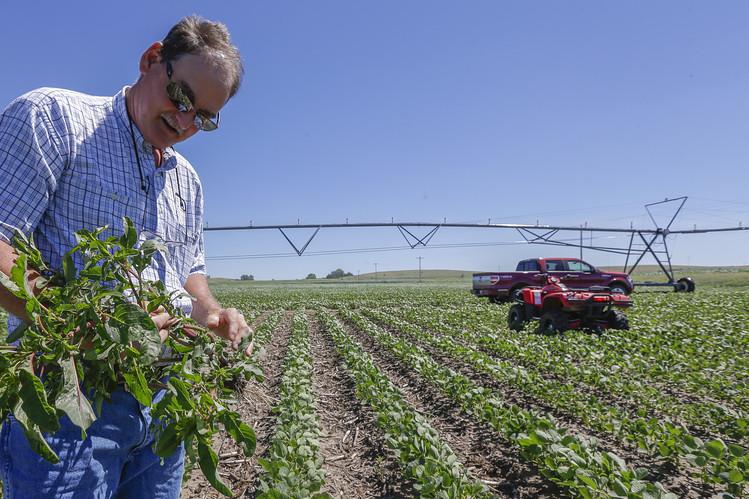 Litigating in Favor of Weeds