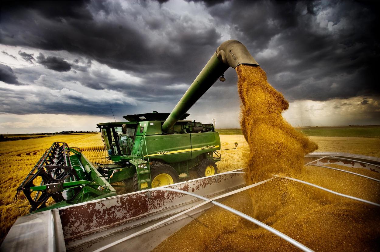Wheat Trade Is a Vital Part of the World Supply Balance