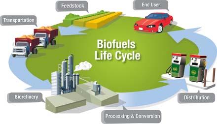 A Partnership that works - Biotech, Biofuels and the Consumer