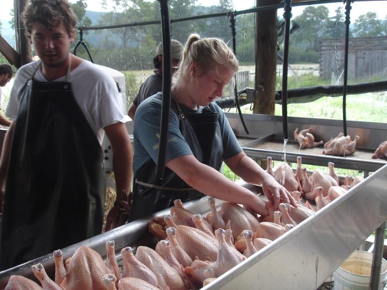 U.S. Chicken Exporters Face A Double Challenge