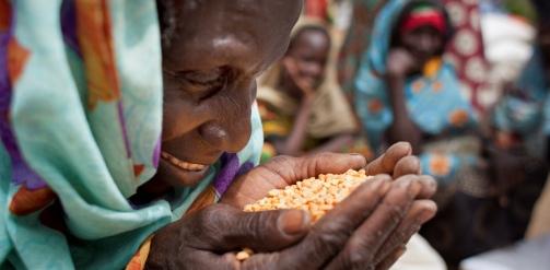 Essential Ingredients to Alleviate Hunger: Trade and Technology