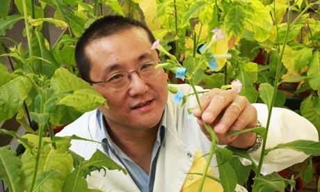 Pharming into the Future: Becoming a Player in the Biotech Revolution