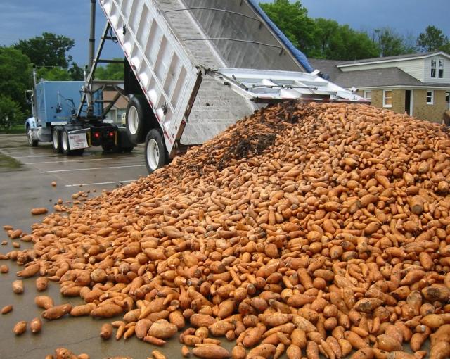 U.S. Fresh Potato Exports to Mexico