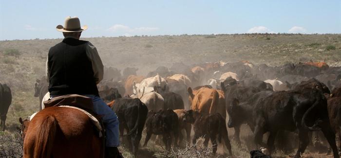 Ending of Mexican Beef Anti-Dumping Duties