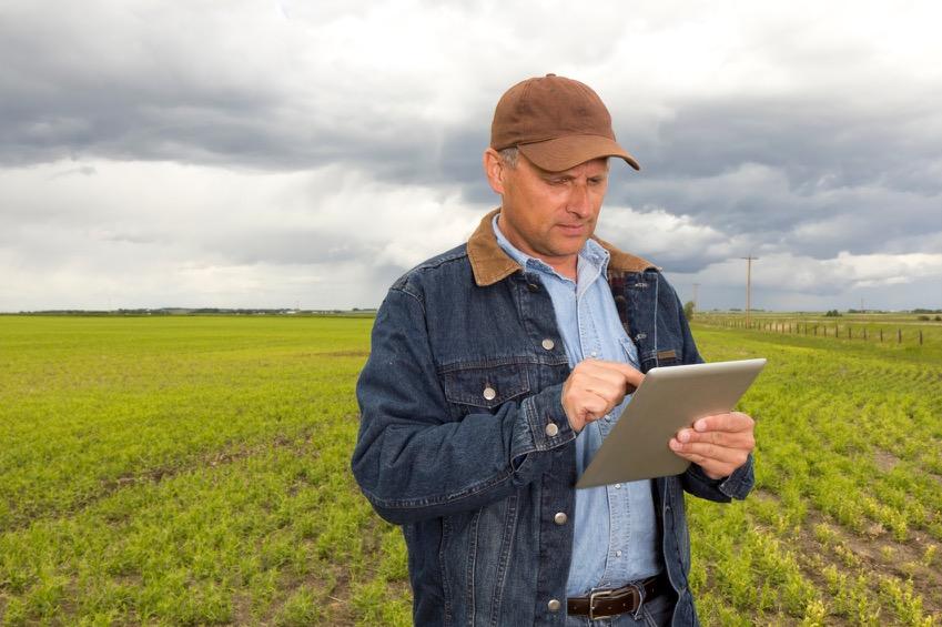 The Changing Profile of U.S. Agricultural Trade