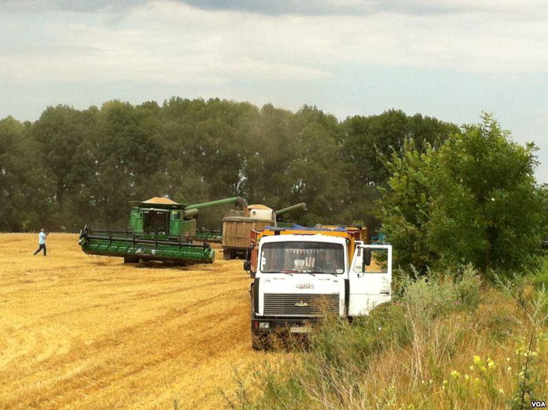 Investments and Trade to Assure Access to Food Supplies