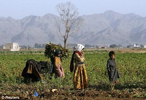 Focusing on the Potential of Economic Freedom