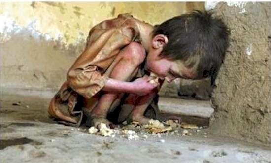 Fighting Famine