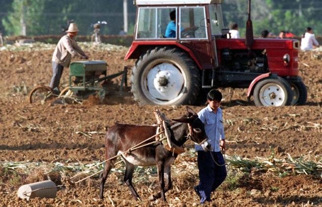China, Brazil & India in Agricultural Trade Policy