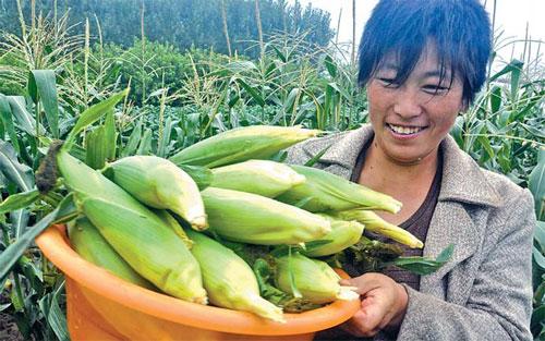 Chinese Corn Imports and the World Corn Market