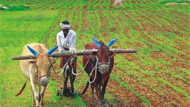 India Joins the Biotech Club
