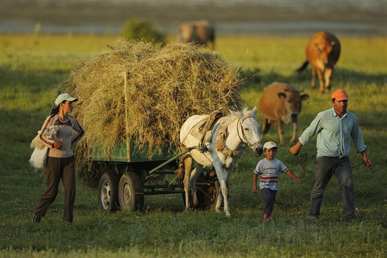 The EU Considers Farm Policy Changes After 2013