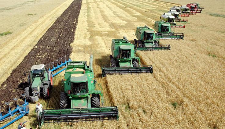 In Ukraine, We Just Keep Farming