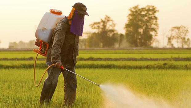 The Business of Farming