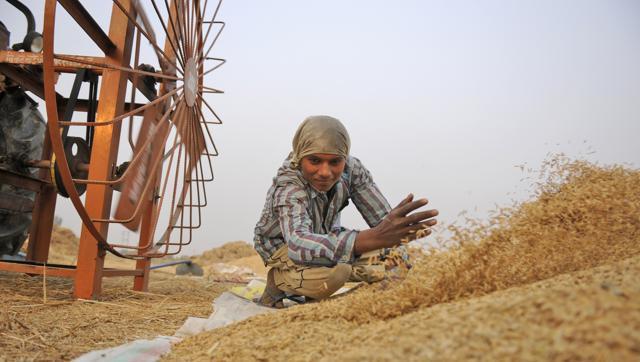 Climate Change Policy and Trade Policy