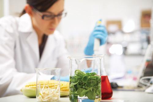 Technology Moves Food Safety Forward