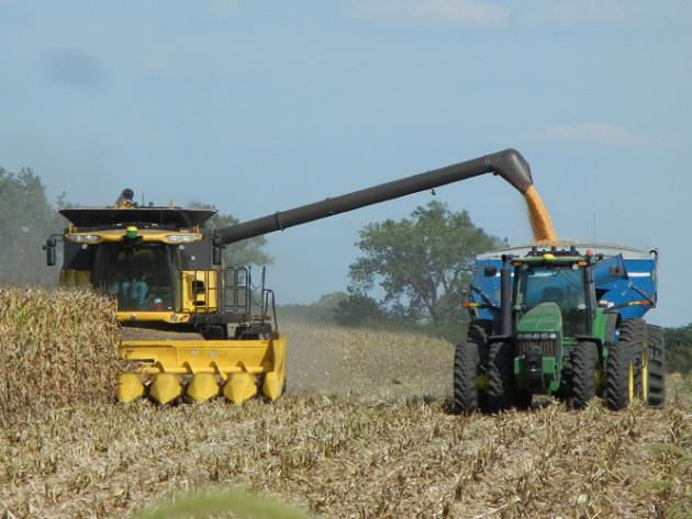 Wheat Trade and Policy Revisited