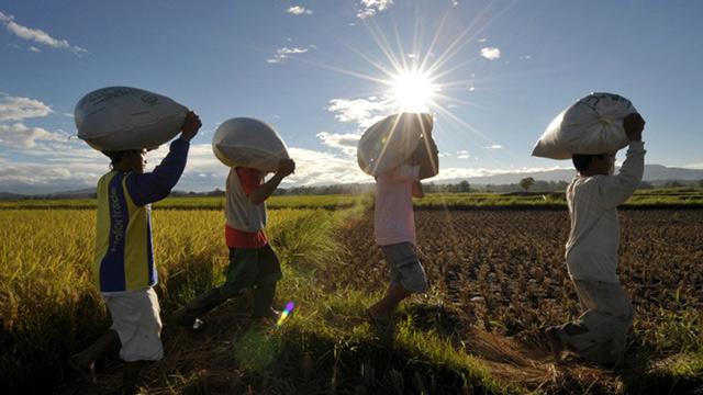 FARMERS DISH ON FOOD SECURITY