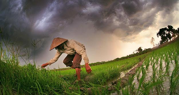 Report Urges U.S. Commitment to Addressing Impact of Climate Change on Global Food Security?