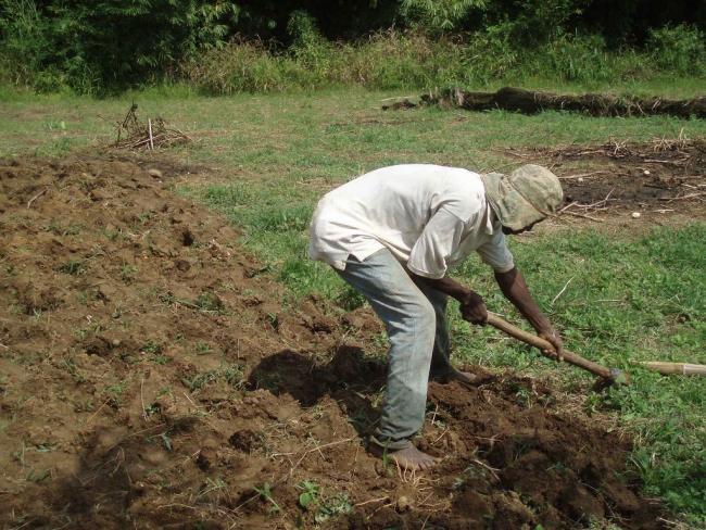 Farmer from Ghana