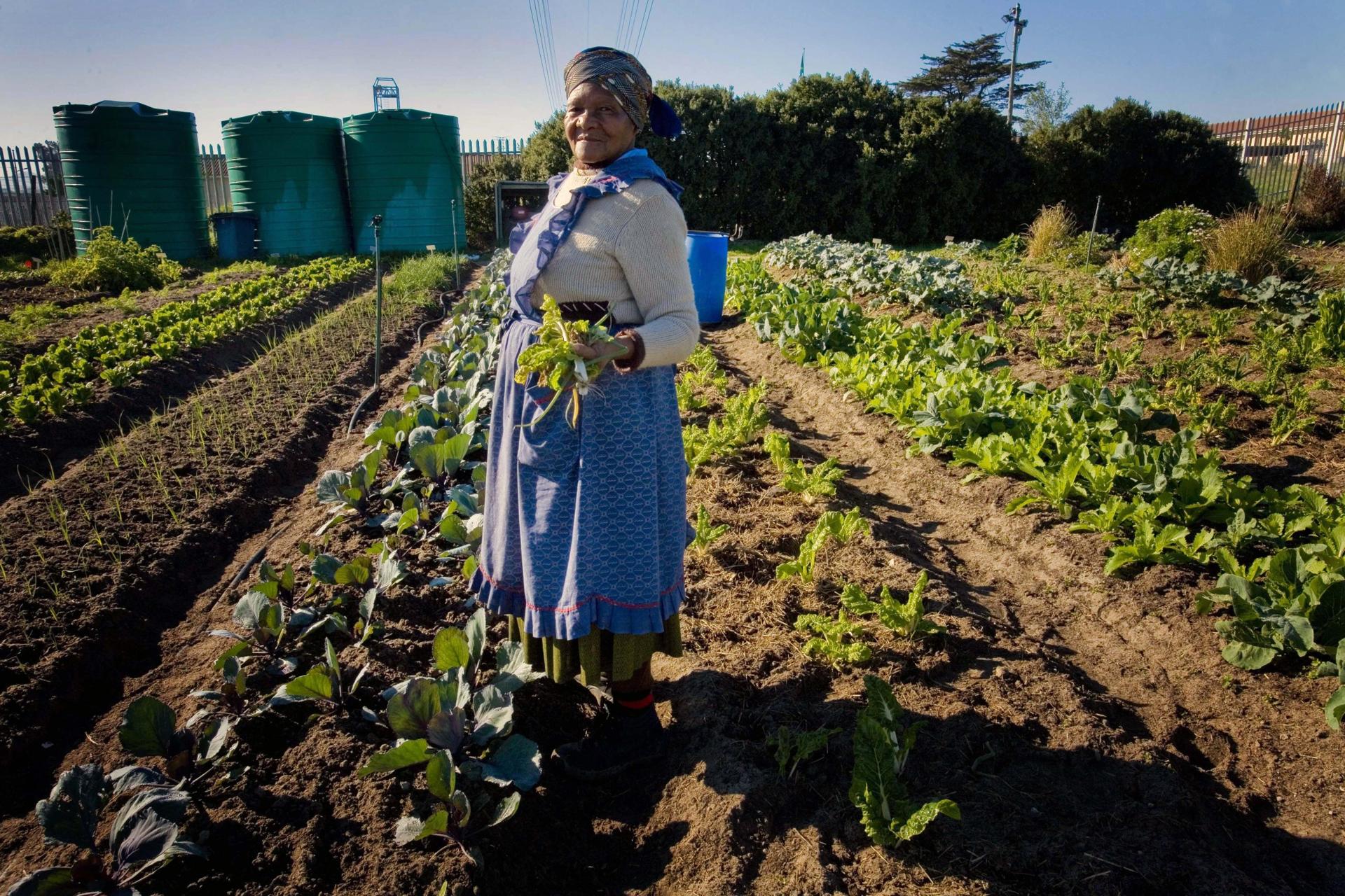 Technology Is Africa’s Food-Secure Future