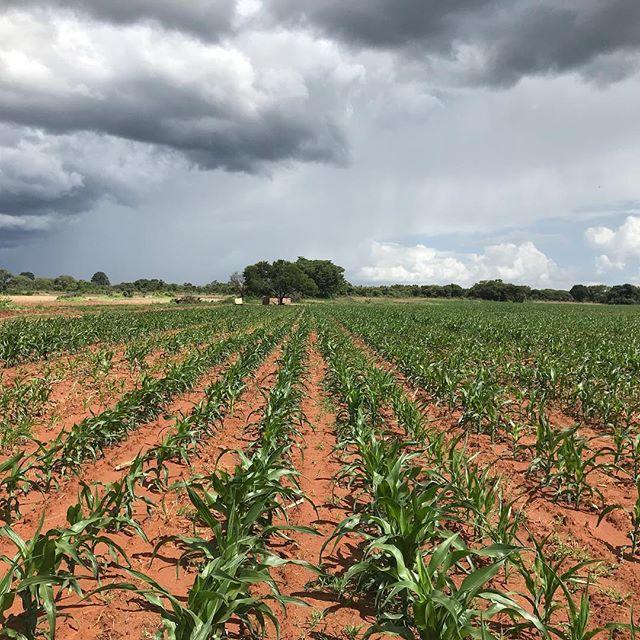 Talking About Farming Versus Actually Farming