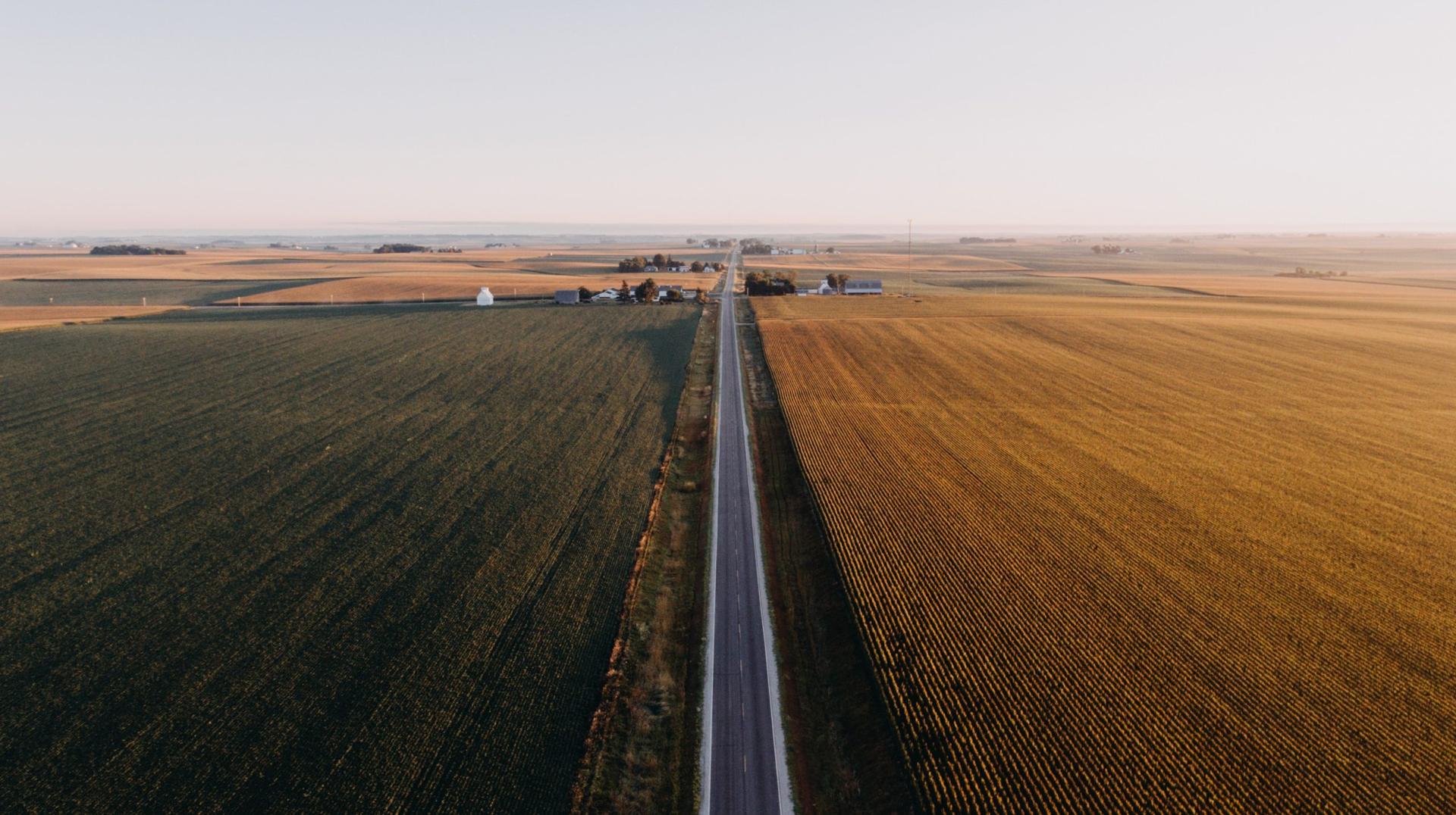 The Economic Bullets Are Real For Farmers In Trade War With China