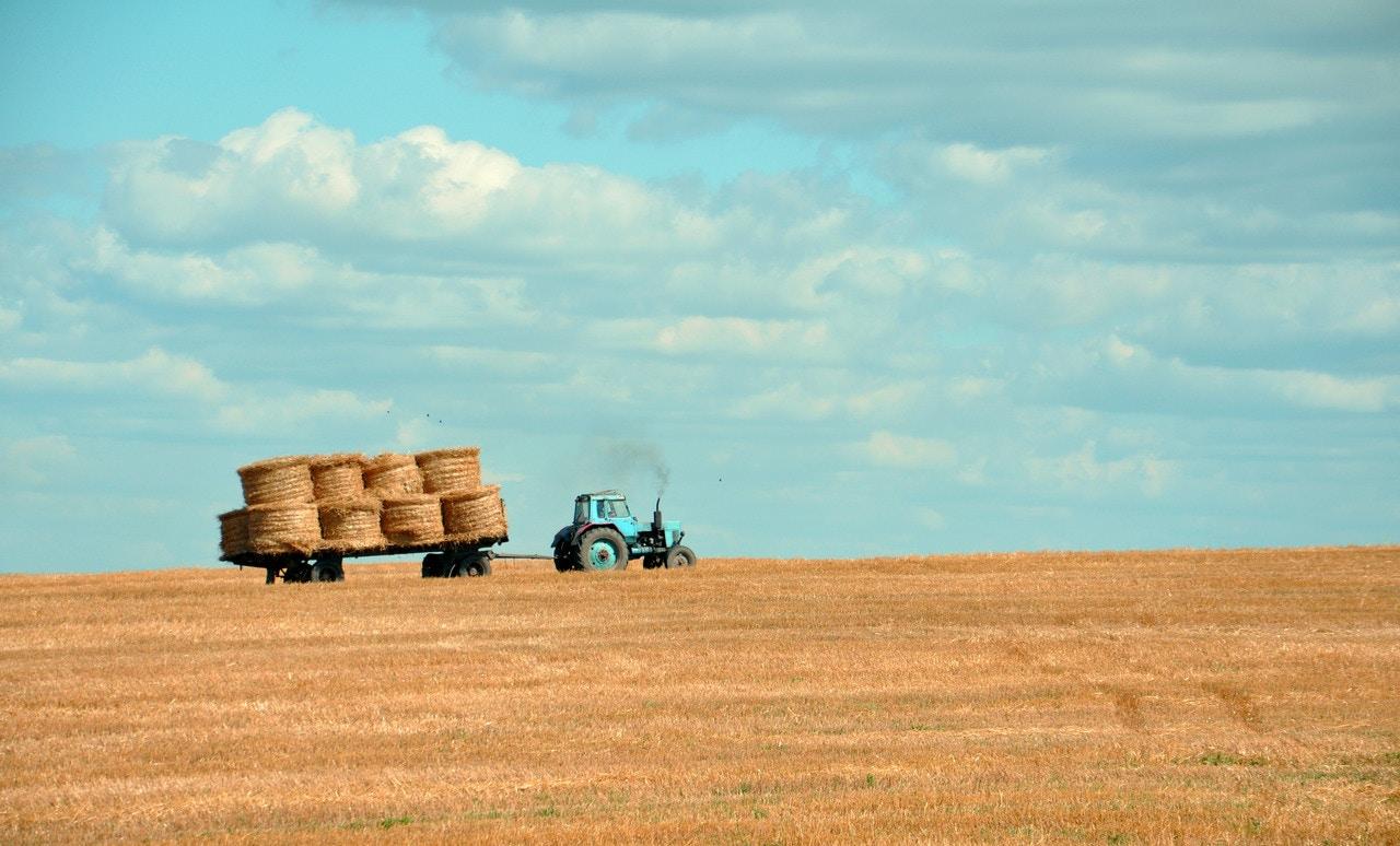 Sustainable Farming Practices, Views from Denmark