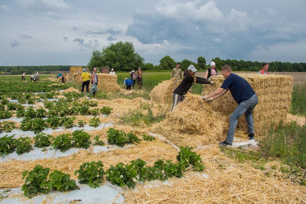 Honest Views About Trade From Ukraine