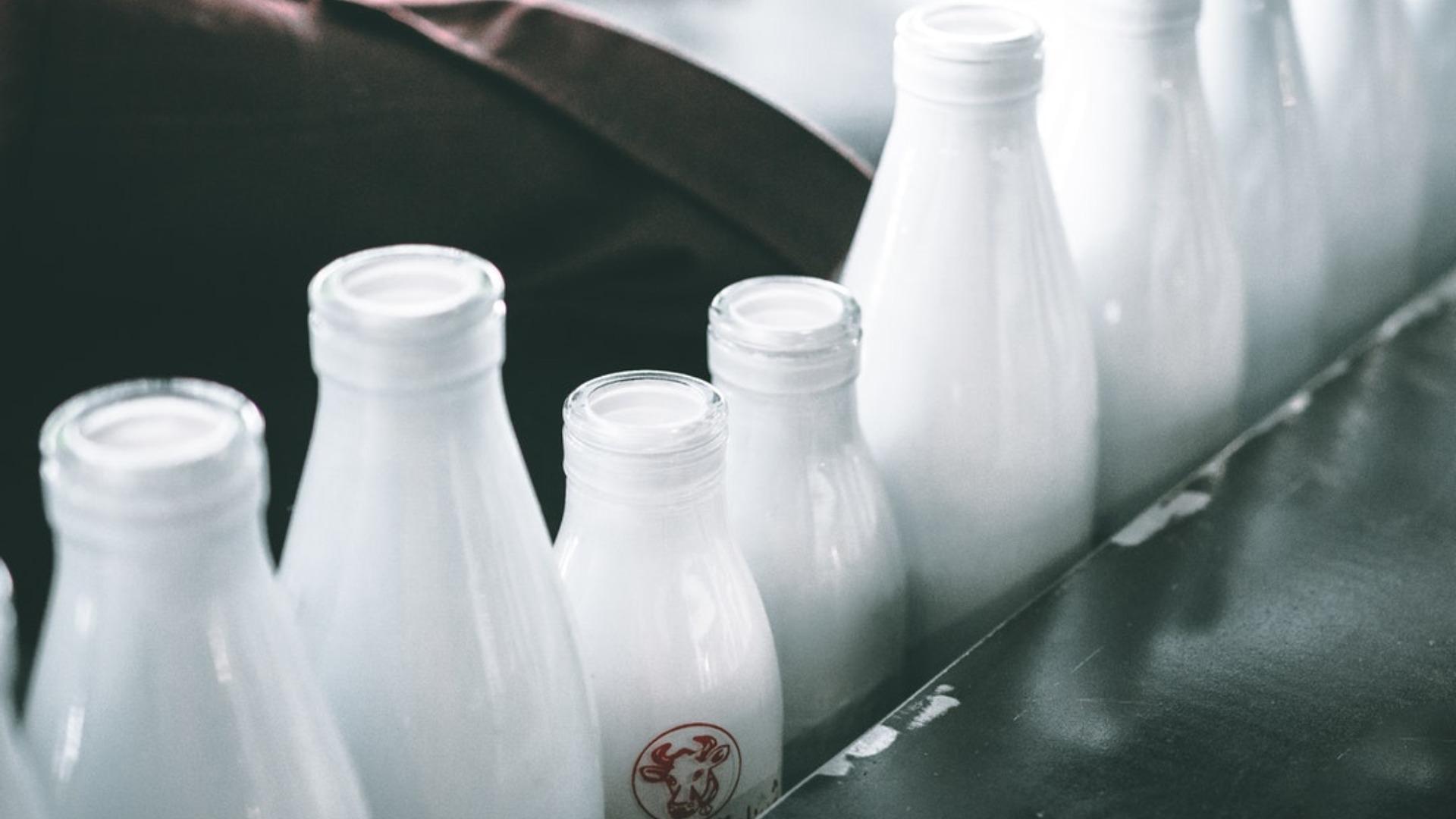 The Story Behind Your Glass of Milk