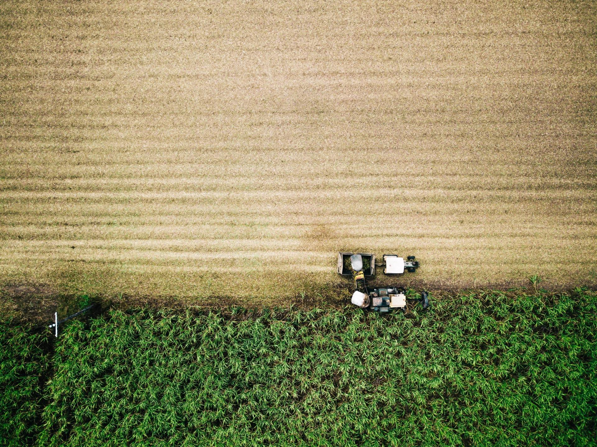 Unnecessary War on Glyphosate Puts Sustainable Agriculture at Risk