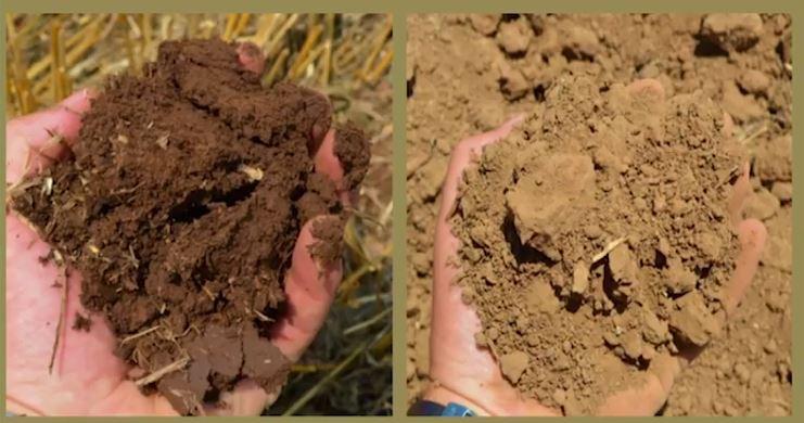 Video: UK No-Till Farmers, Groundswell 2018
