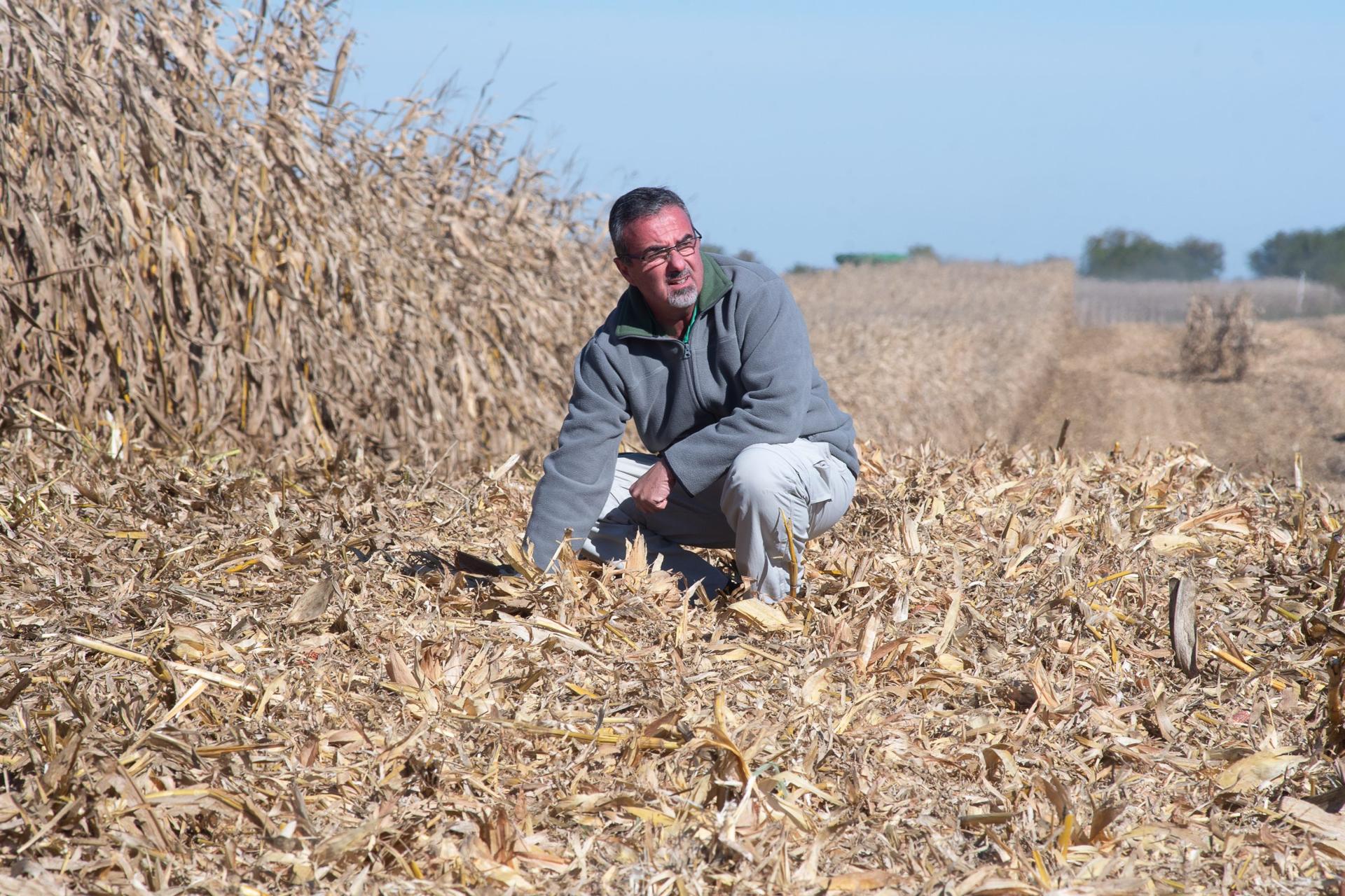 Sharing Argentine No-Till Expertise With Africa
