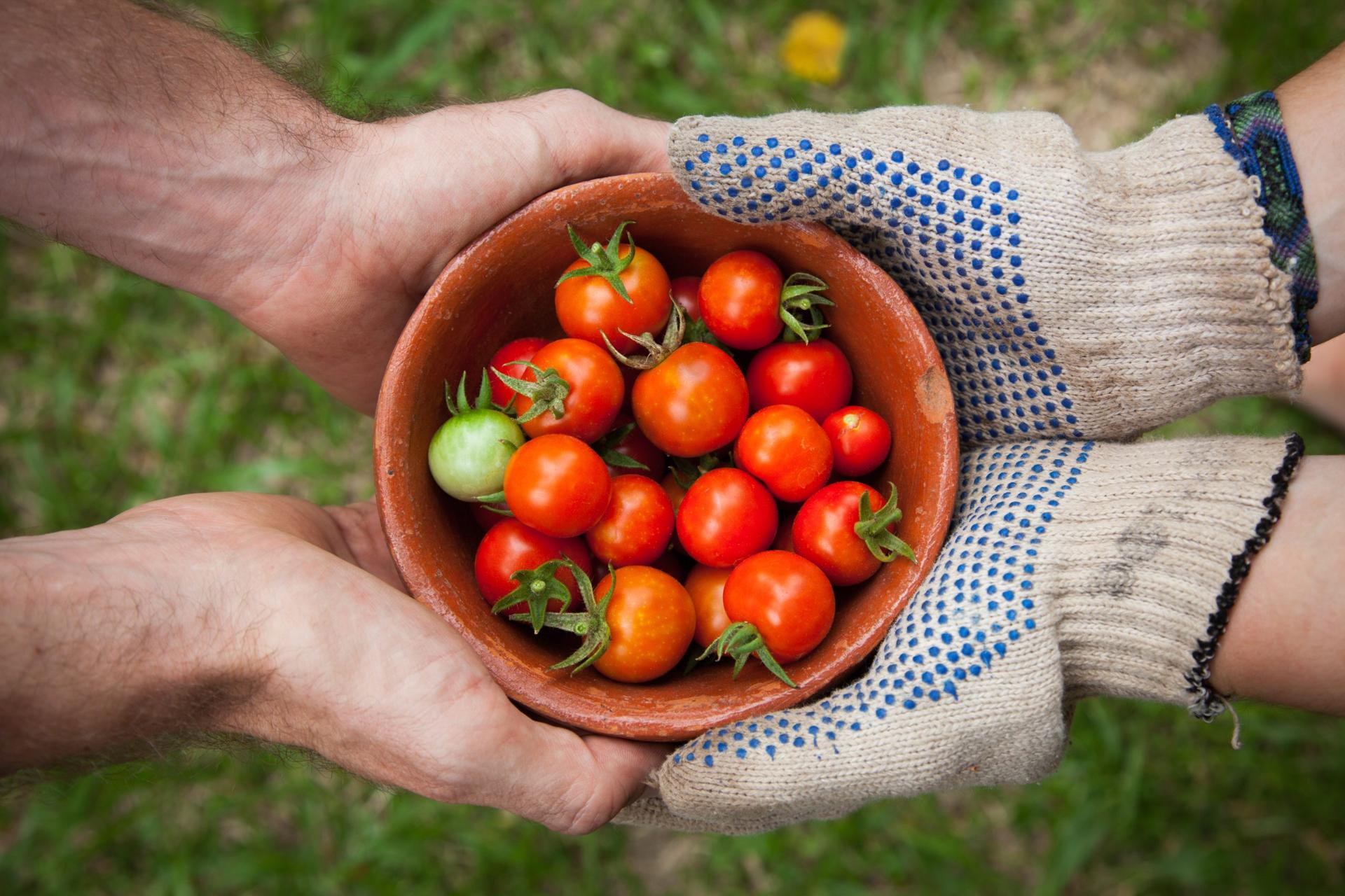 The Power of a Farmer's Story