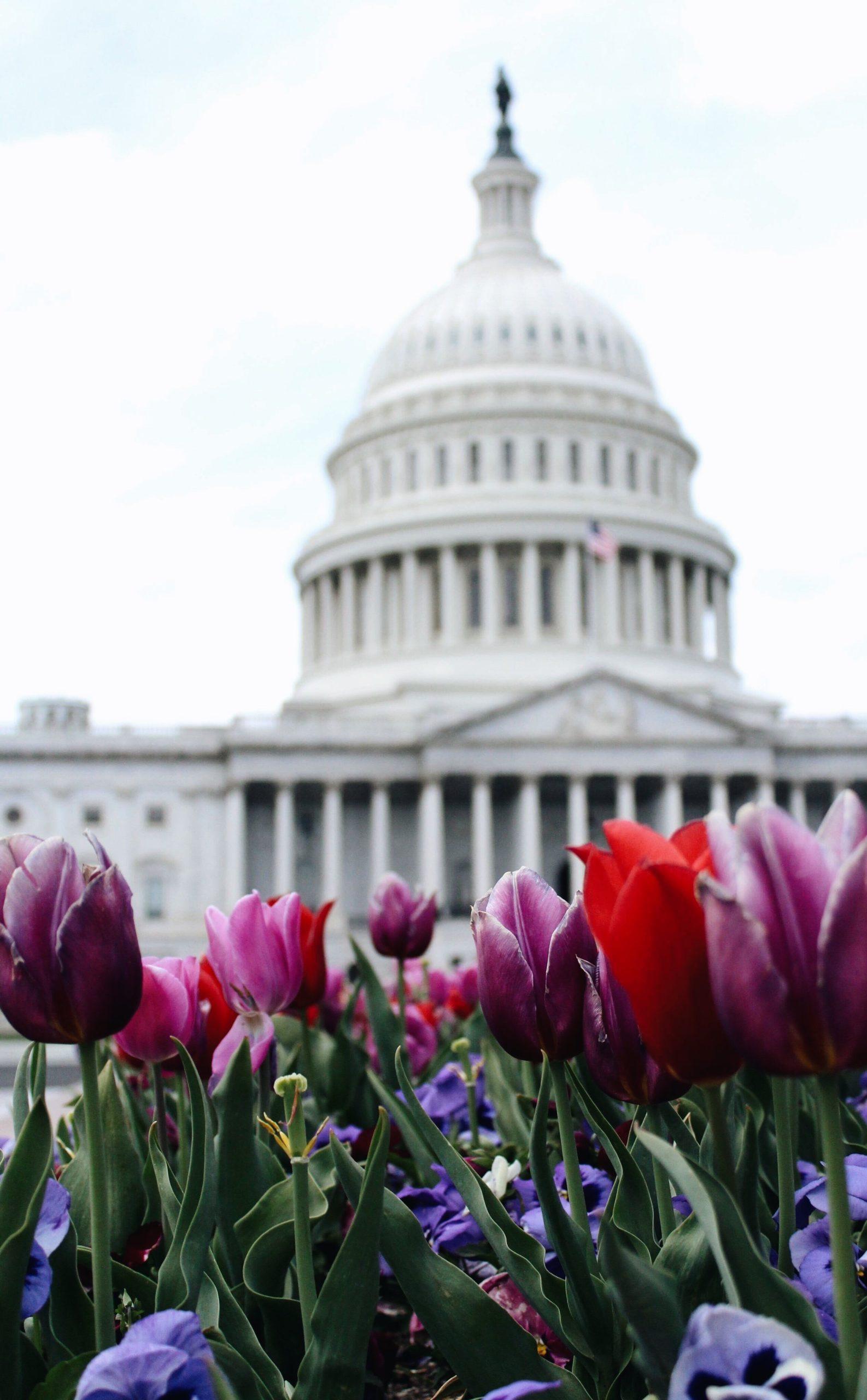 New Year – New Congress – New Opportunity to Support Trade