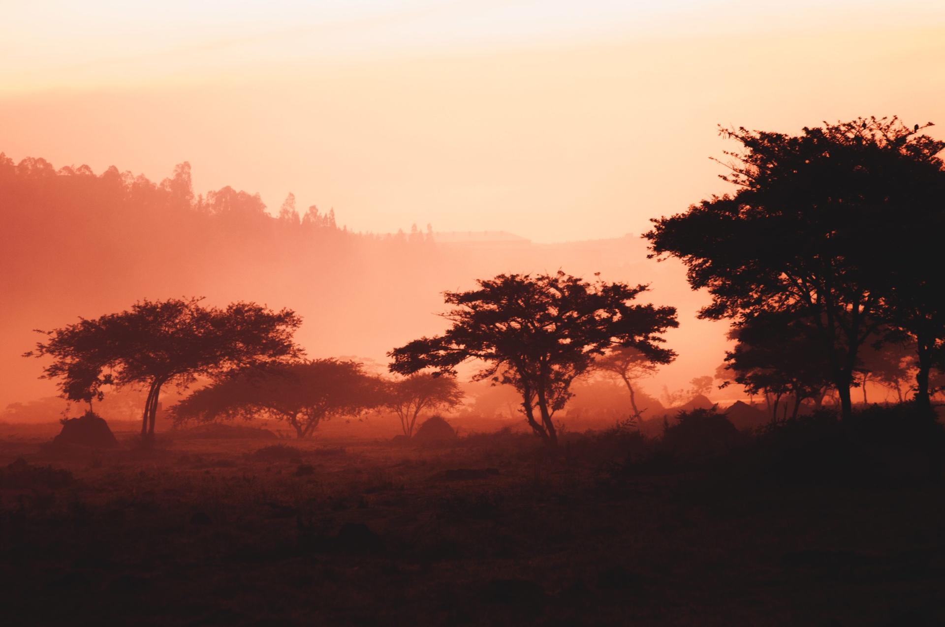 Ensuring Ag Remains 'Sexy' in Africa