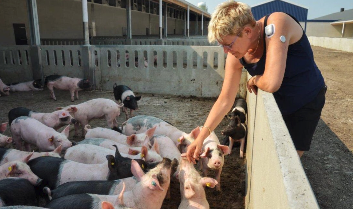 Supplying The World’s Pork