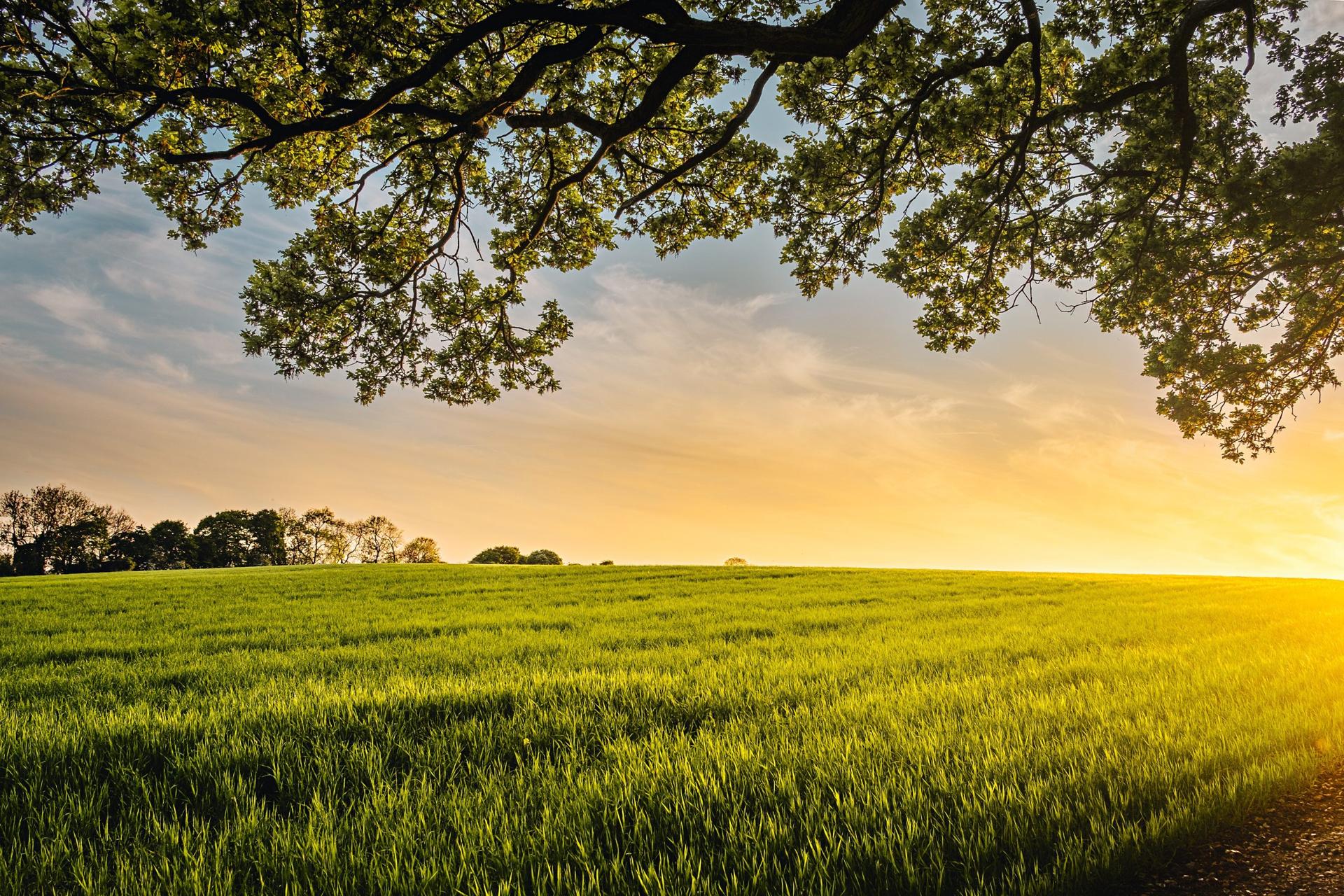 Farmers on the “Frontiers of Prosperity” are choosing GM Seeds