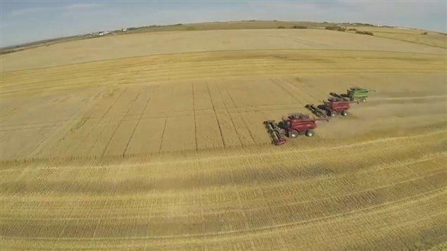 Farmer's Caught Between Unenforced Trade Agreements and Political Gamemanship